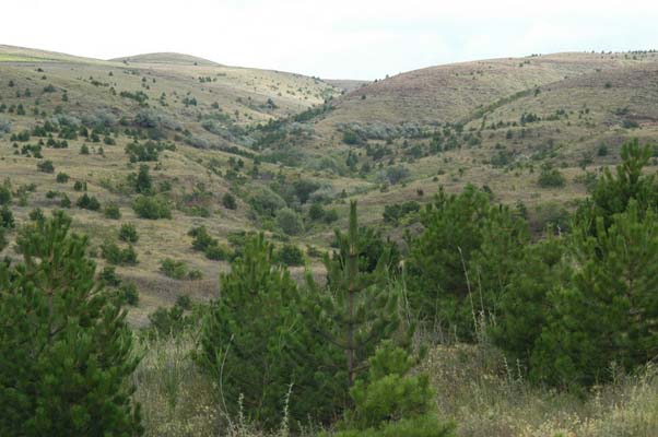 Çorum-Sungurlu Gökçam Köyü Resimleri 17