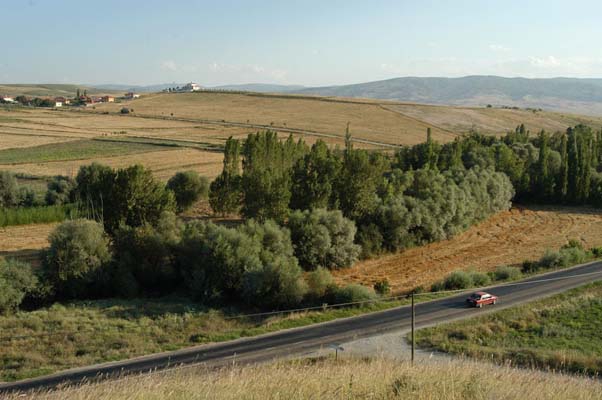 Çorum-Sungurlu Gökçam Köyü Resimleri 2