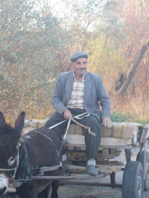 Çorum-Sungurlu Gökçam Köyü Resimleri 6