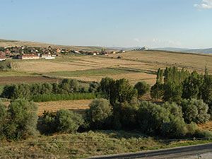 Çorum-Sungurlu Gökçam Köyü Resimleri