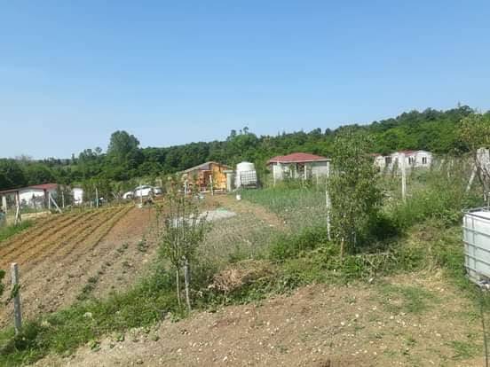 Çatalca Kalfa Köyü Resimleri 2