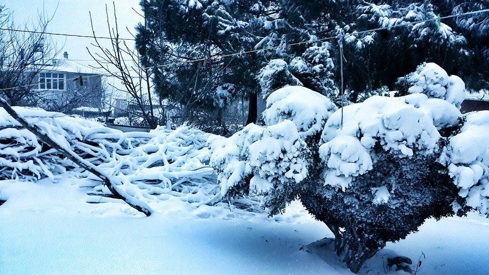 Çatalca Kalfa Köyü Resimleri 6