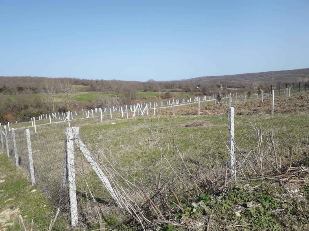 Çatalca Kalfa Köyü Resimleri 8