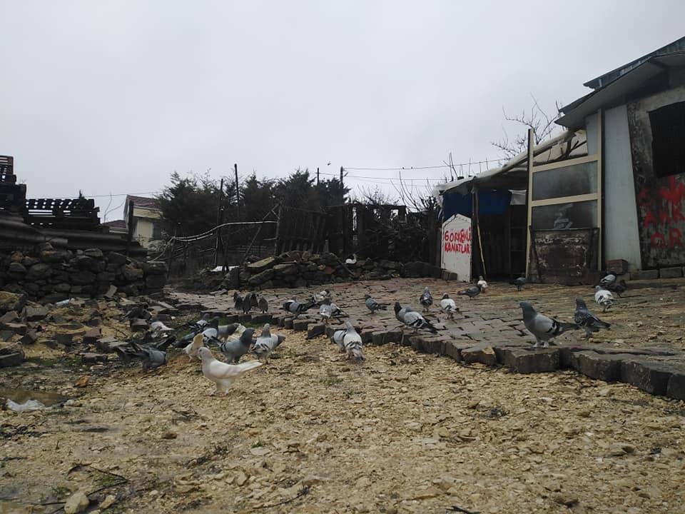 Çatalca Muratbey Köyü Resimleri 5