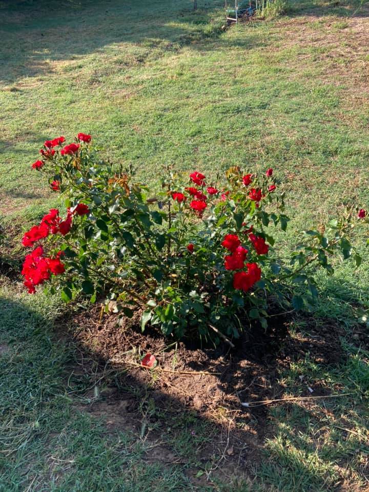 Çatalca Oklalı Köyü Resimleri 2