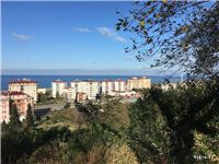 Pazar Hamidiye Köyü Resimleri 5