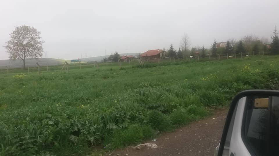 Çatalca Ormanlı Köyü Resimleri 1