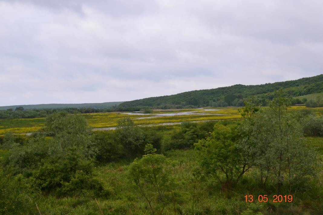 Çatalca Ormanlı Köyü Resimleri 10