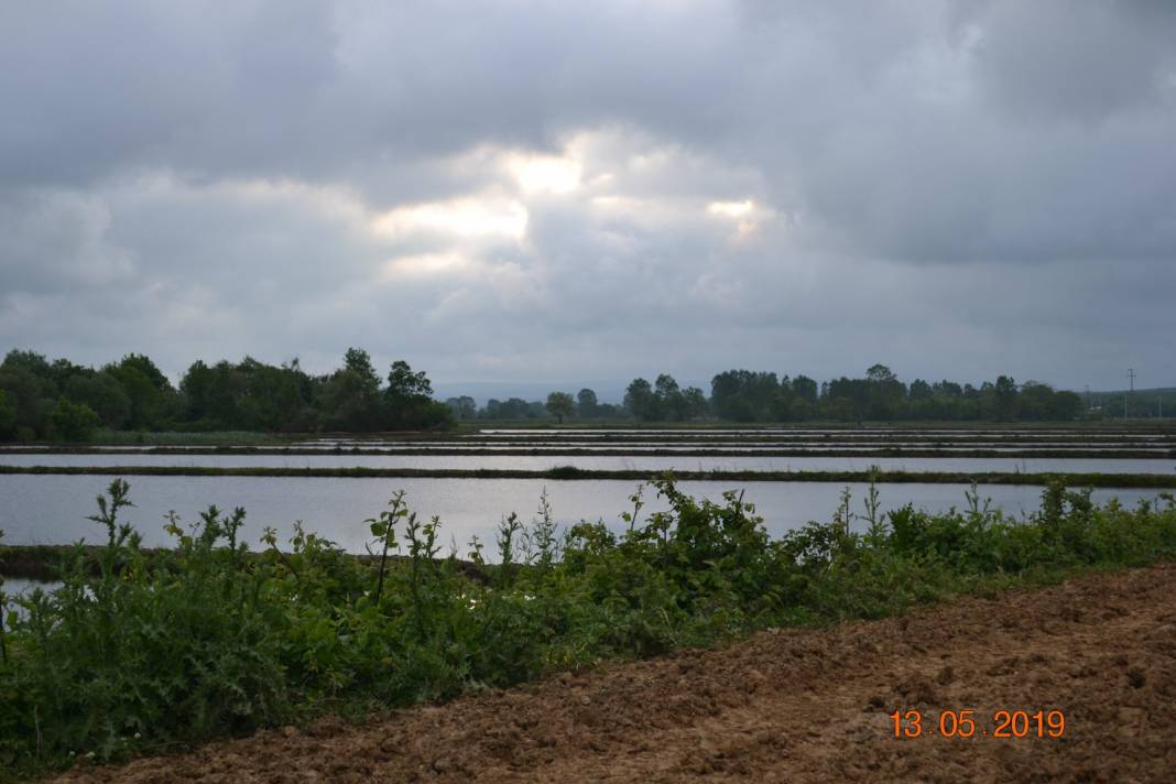 Çatalca Ormanlı Köyü Resimleri 11