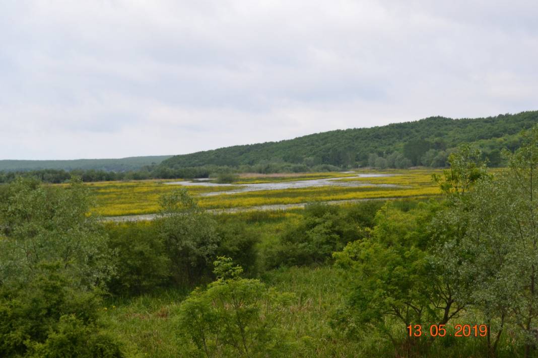 Çatalca Ormanlı Köyü Resimleri 12