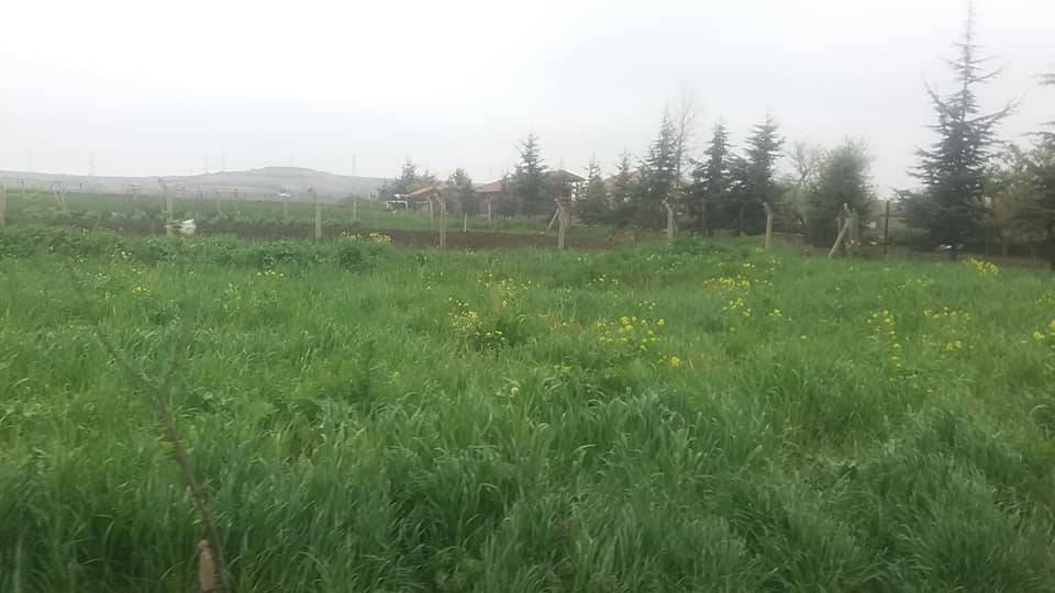 Çatalca Ormanlı Köyü Resimleri 3