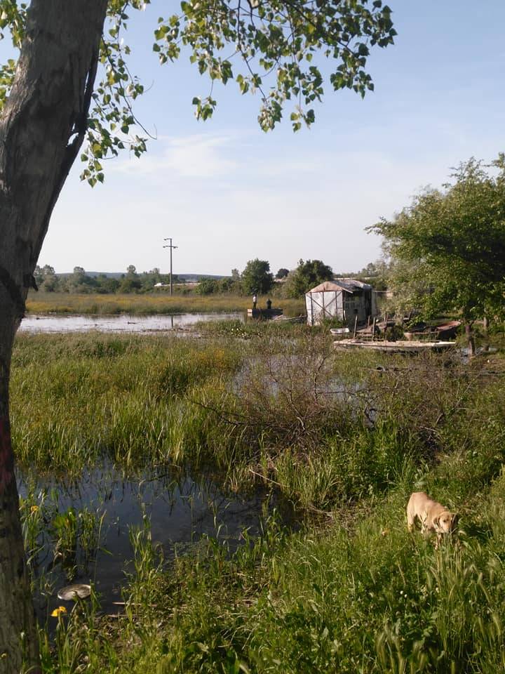 Çatalca Ormanlı Köyü Resimleri 5