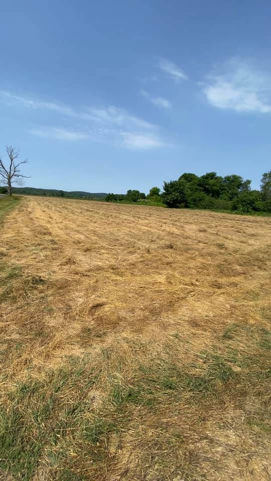 Çatalca Ormanlı Köyü Resimleri 6