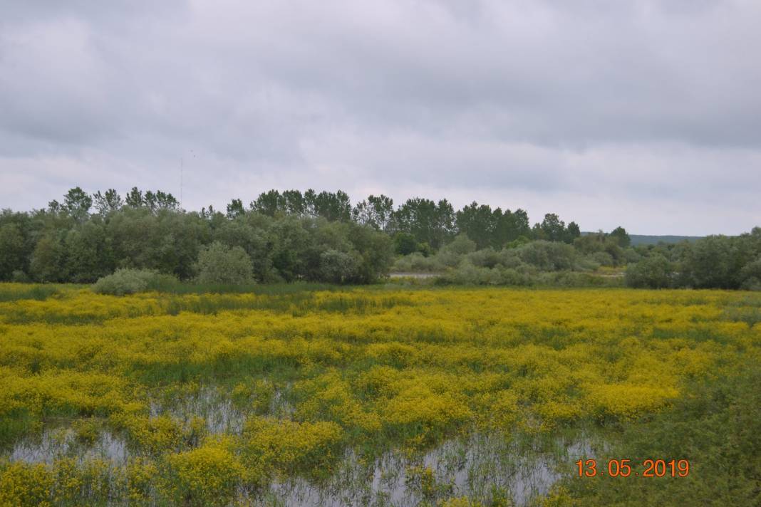 Çatalca Ormanlı Köyü Resimleri 9