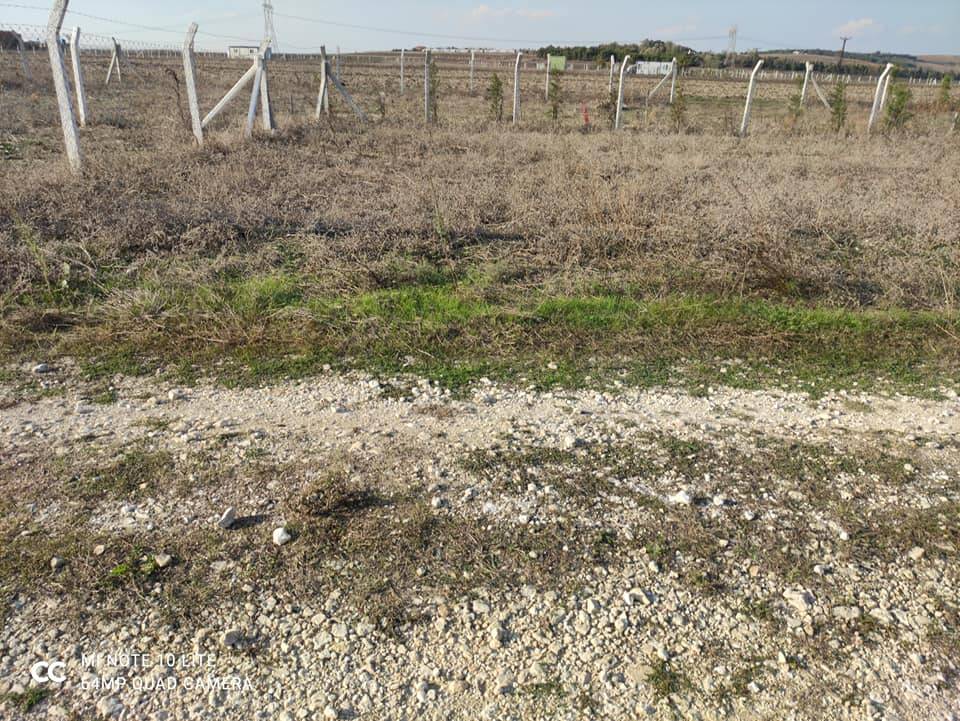 Çatalca Ovayenice Köyü Resimleri 3