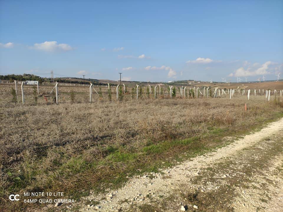 Çatalca Ovayenice Köyü Resimleri 5