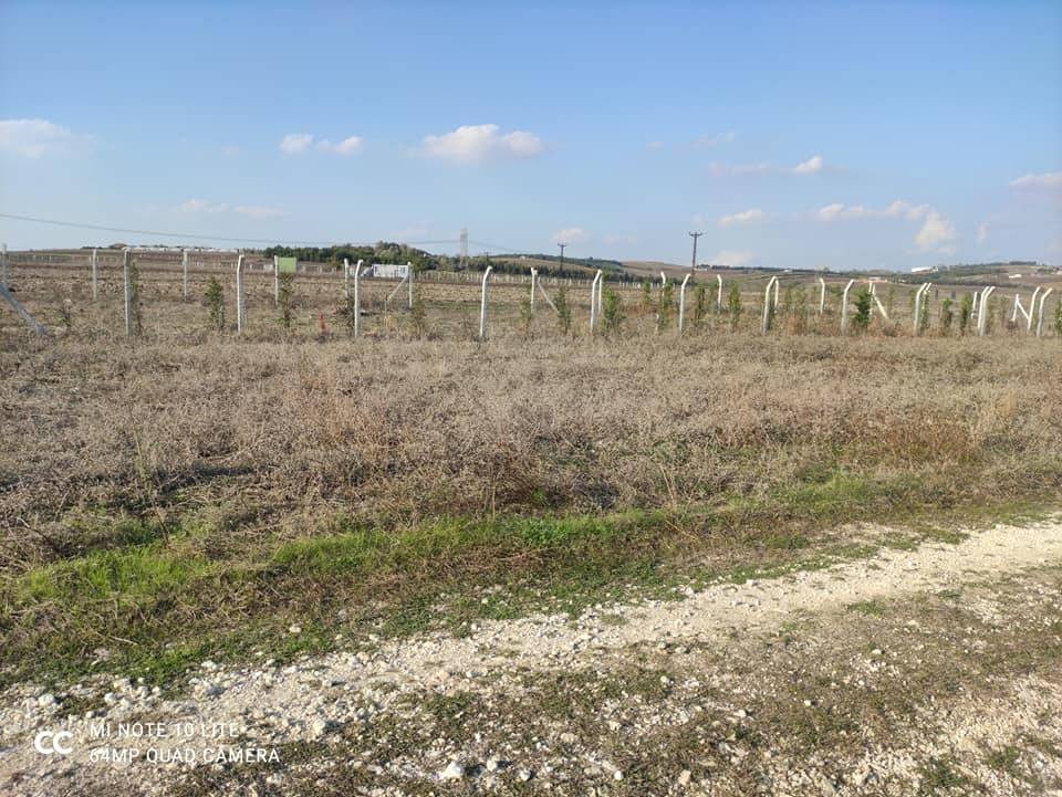 Çatalca Ovayenice Köyü Resimleri 6