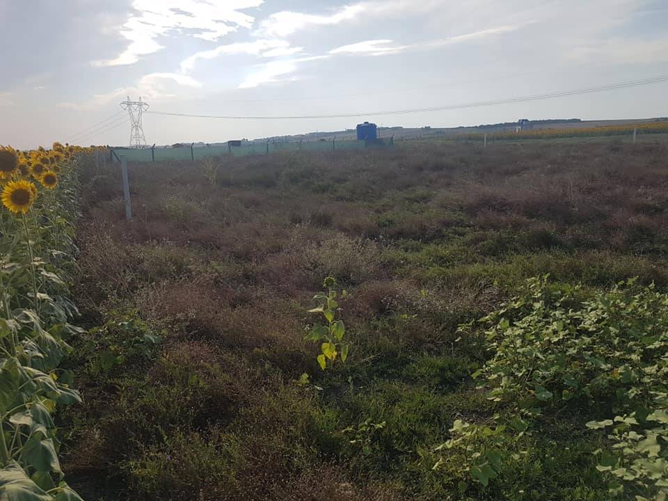 Çatalca Ovayenice Köyü Resimleri 8