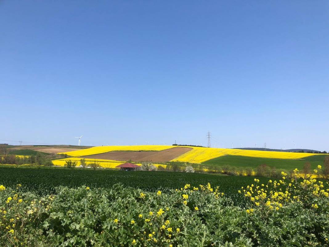 Çatalca Ovayenice Köyü Resimleri 9