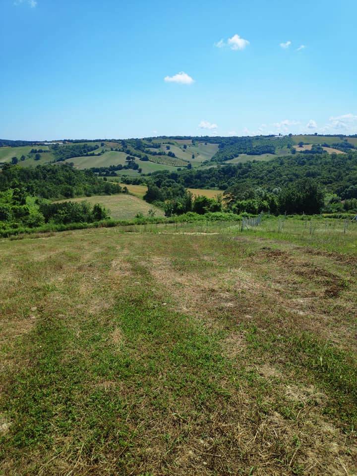 Çatalca Örencik Köyü Resimleri 13