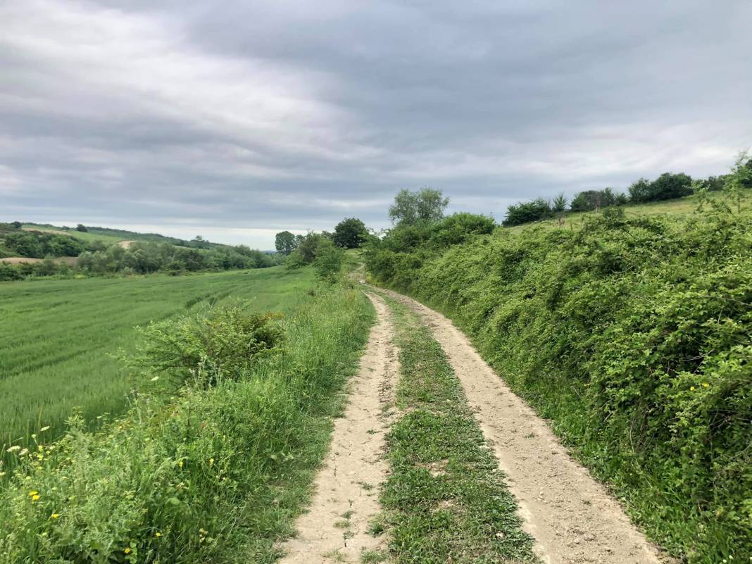 Çatalca Örencik Köyü Resimleri 15