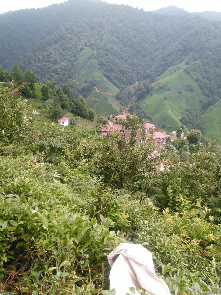 Pazar Handağı Köyü Resimleri 1