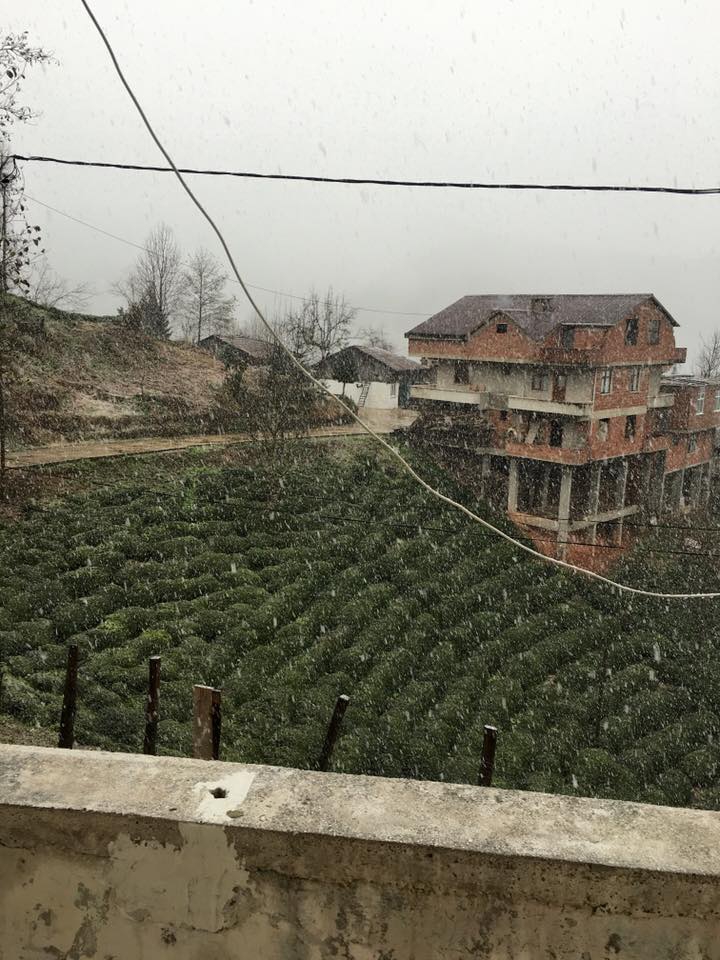 Pazar Handağı Köyü Resimleri 3