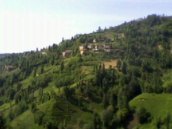 Pazar Handağı Köyü Resimleri 4