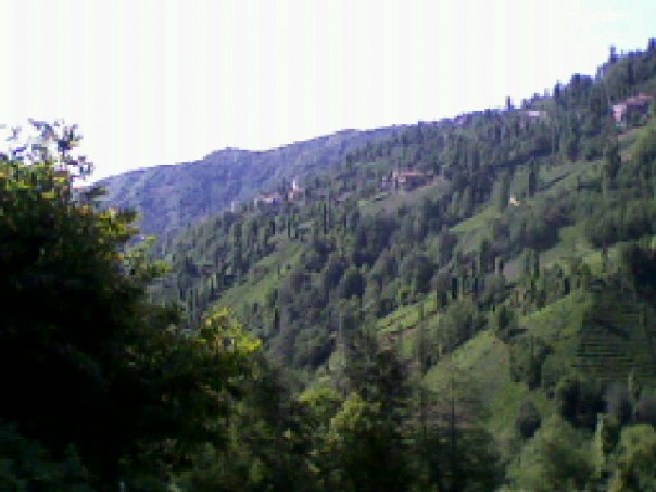 Pazar Handağı Köyü Resimleri 5