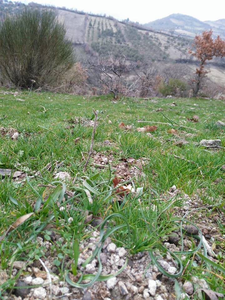 Bergama Katrancı Köyü Resimleri 1