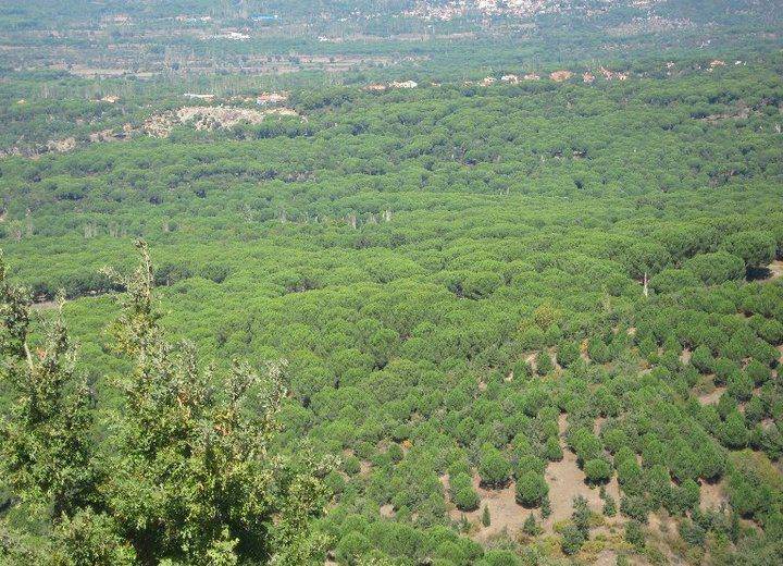 Bergama Kıranlı Köyü Resimleri 6