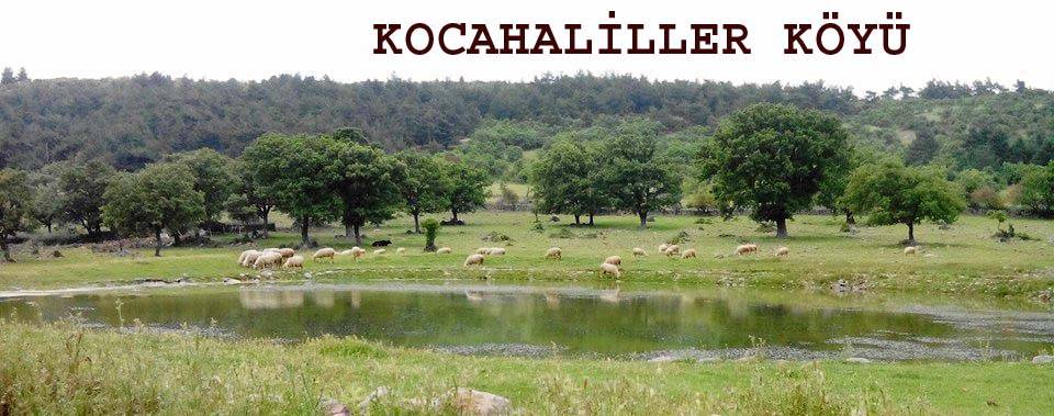 Bergama Kocahaliller Köyü Resimleri 1