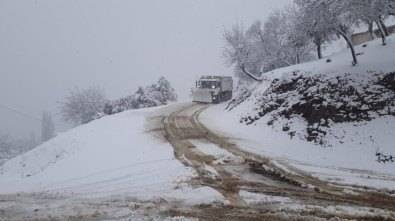 Bergama Kocahaliller Köyü Resimleri 3
