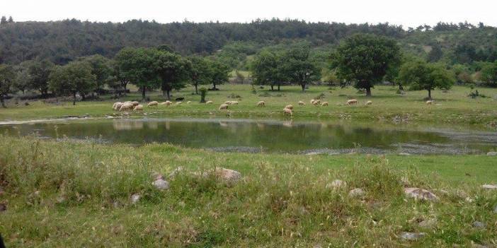 Bergama Kocahaliller Köyü Resimleri