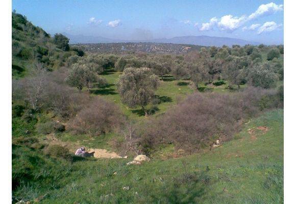 Bergama Kurfallı Köyü Resimleri 1