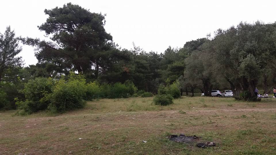 Bergama Mahmudiye Köyü Resimleri 6