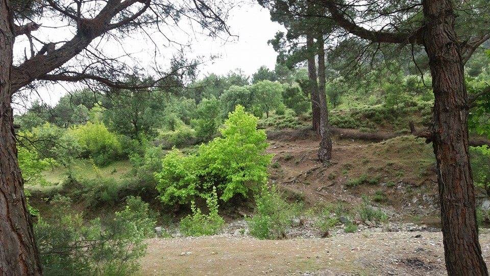 Bergama Mahmudiye Köyü Resimleri 7