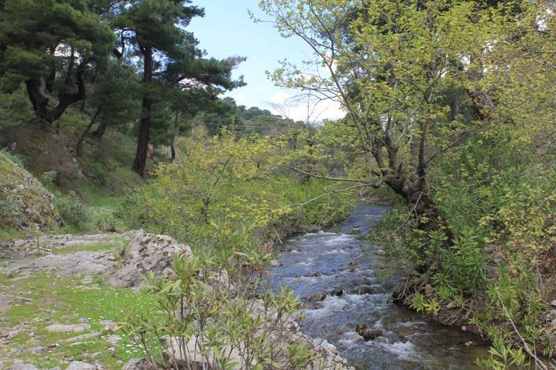 Bergama Mahmudiye Köyü Resimleri 9