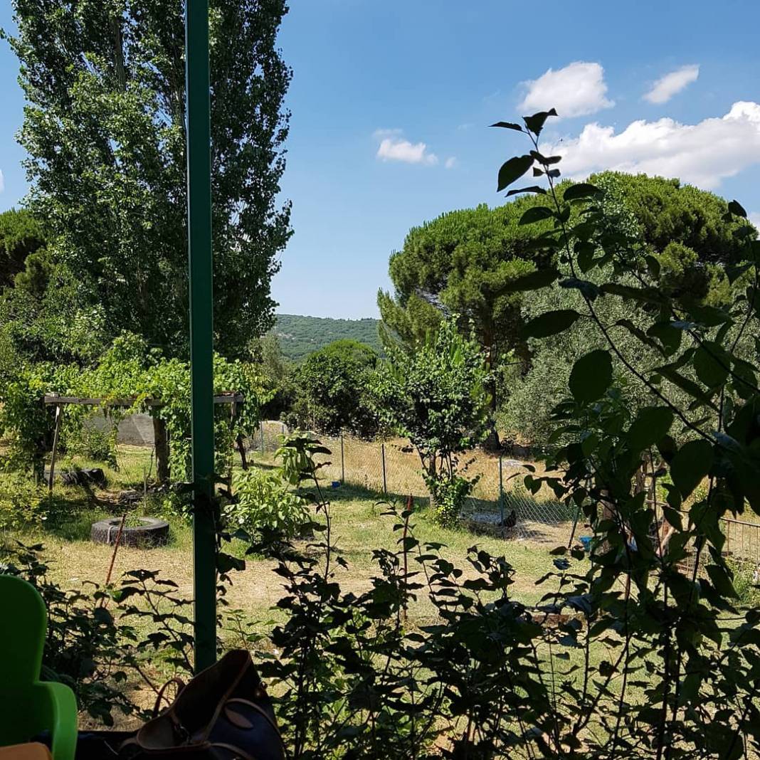 Bergama Okçular Köyü Resimleri 10