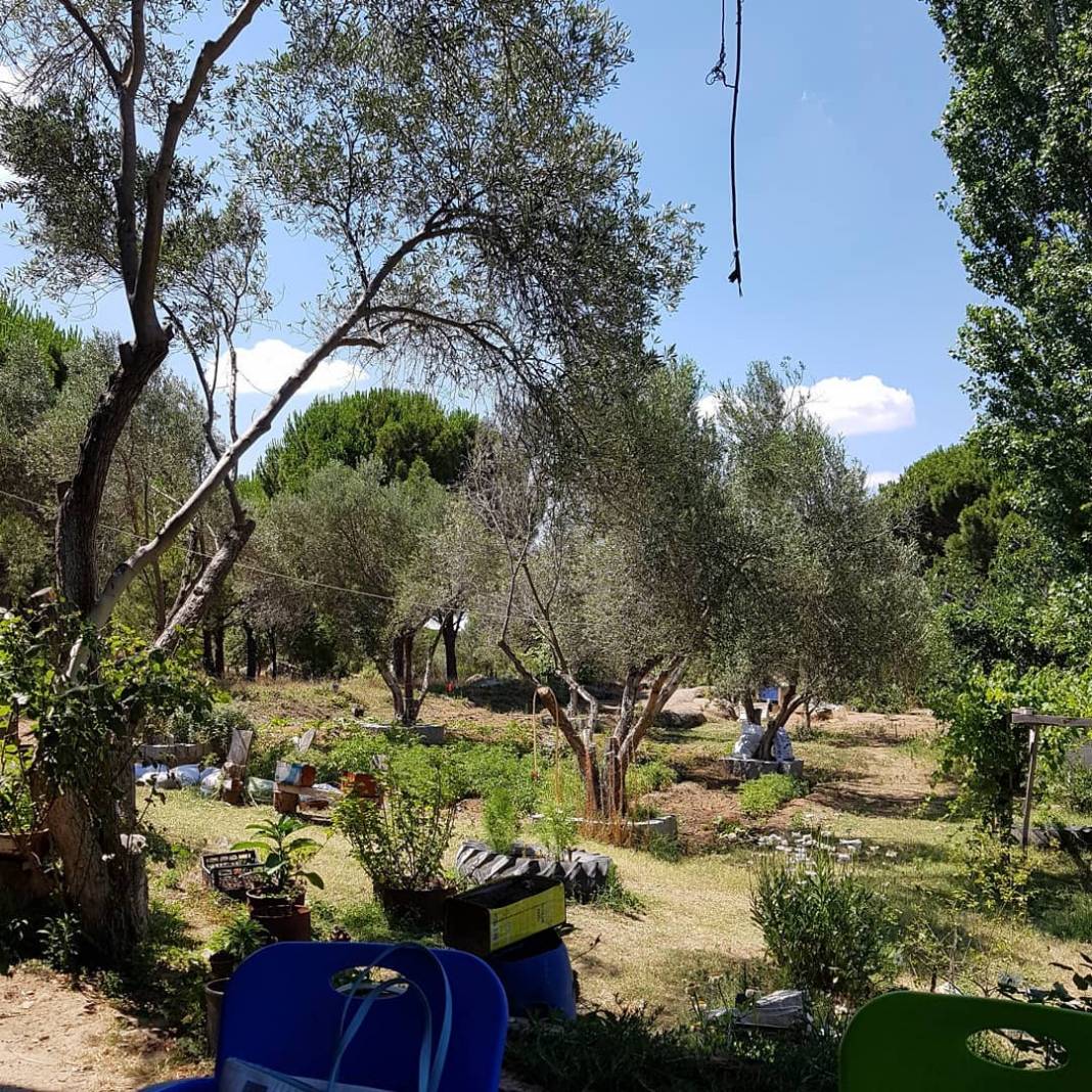 Bergama Okçular Köyü Resimleri 11