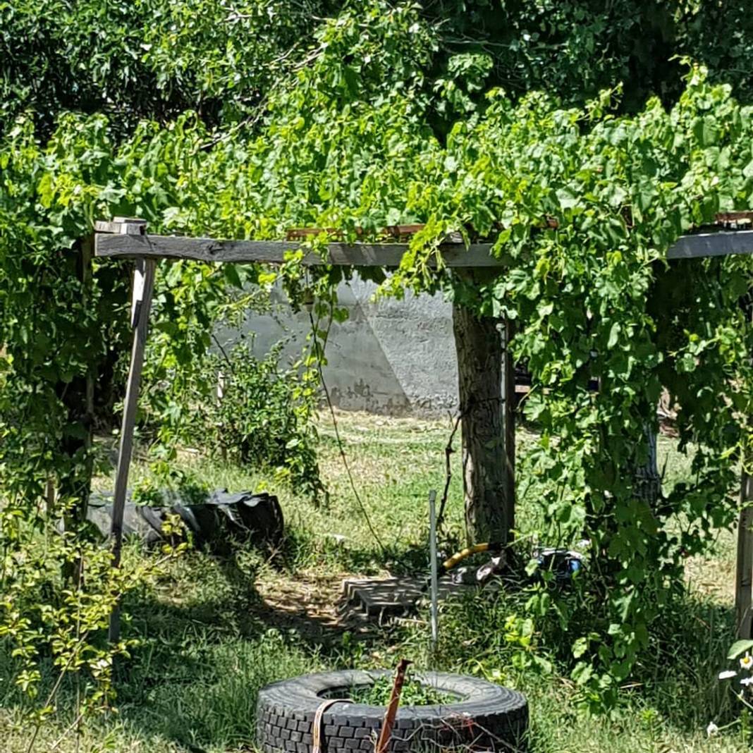 Bergama Okçular Köyü Resimleri 12