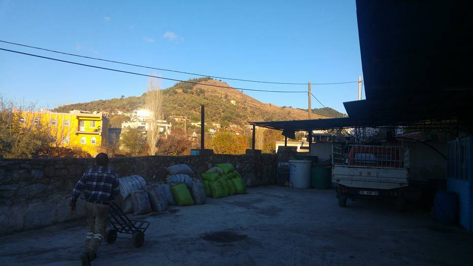 Bergama Okçular Köyü Resimleri 3