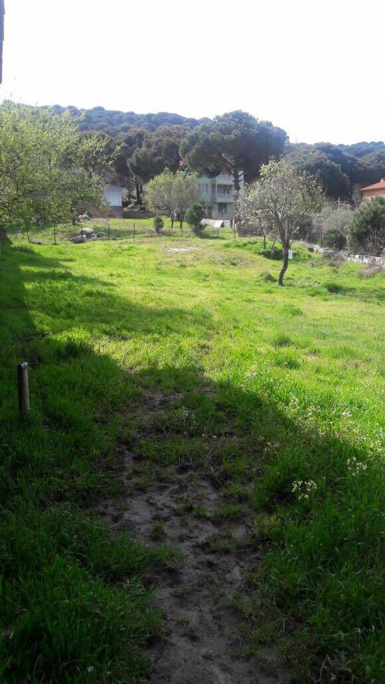 Bergama Okçular Köyü Resimleri 8