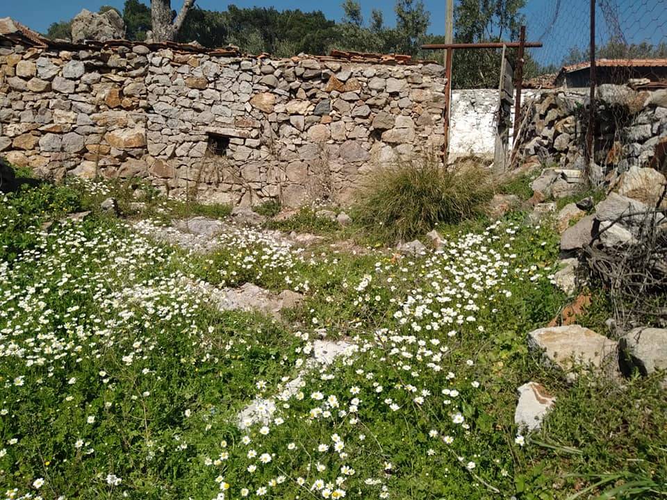 Bergama Ovacık Köyü Resimleri 3