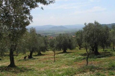 Bergama Sağancı Köyü Resimleri 8