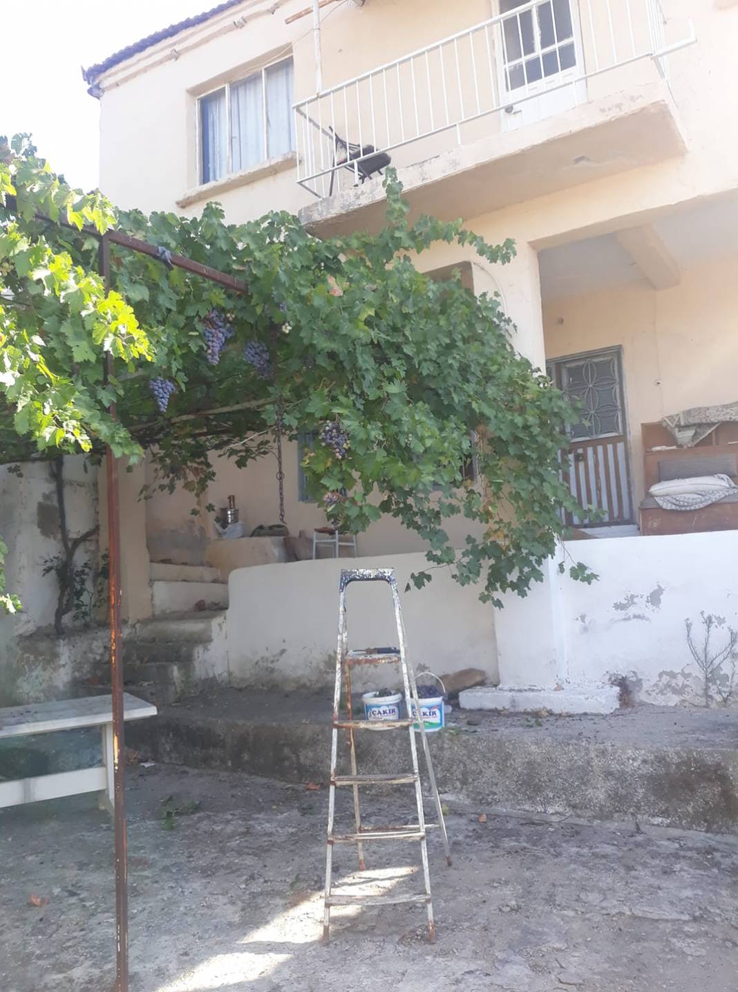 Bergama Sağancı Köyü Resimleri 9