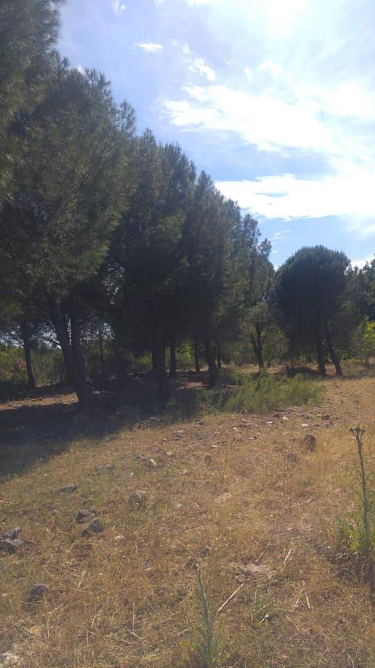 Bergama Sarıcalar Köyü Resimleri 6