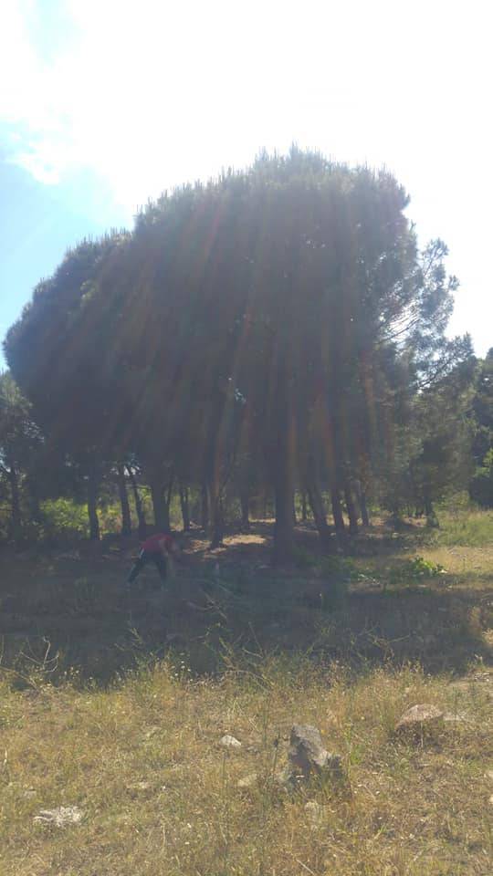 Bergama Sarıcalar Köyü Resimleri 7