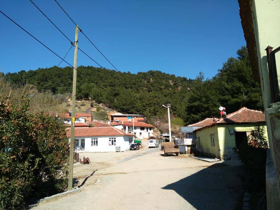 Bergama Sarıcaoğlu Köyü Resimleri 13