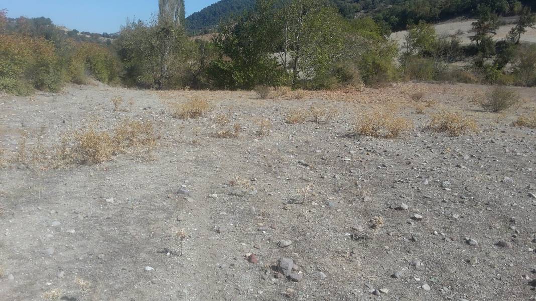 Bergama Sarıcaoğlu Köyü Resimleri 2